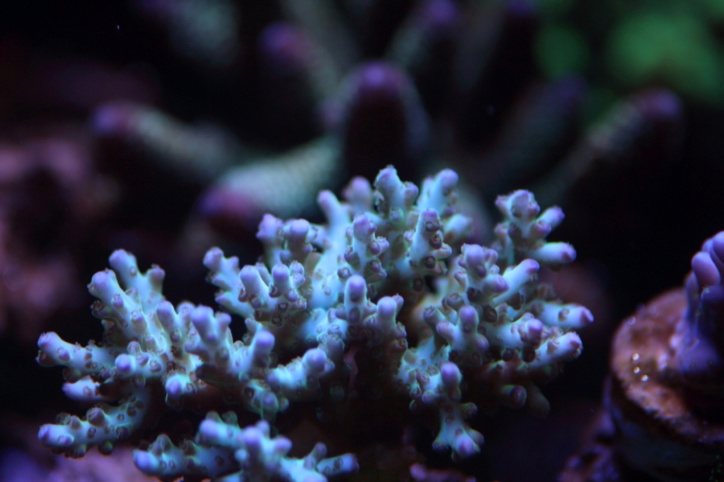 Nov2013M0010.JPG