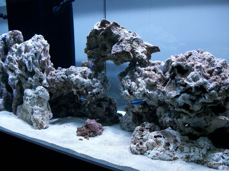 100_6889.jpg