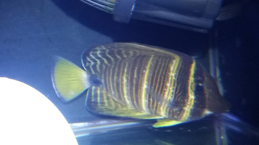 20171218_164756.jpg