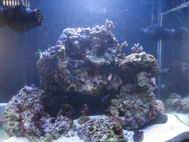 509542007_8Z8qi-L.jpg