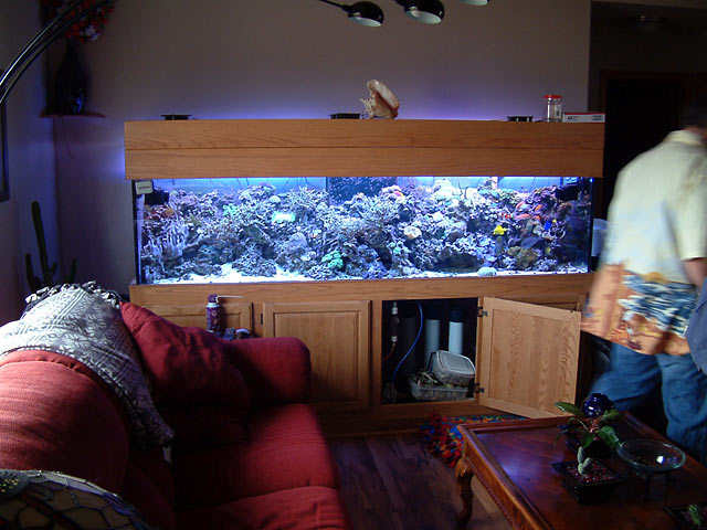 mark_fts_reef.jpg