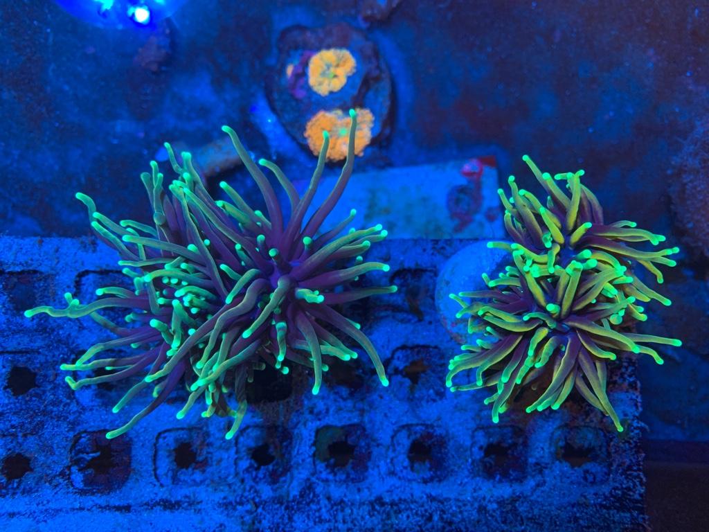 c0bf14dbbc75f27996ab0fc458c4b6e8.jpg