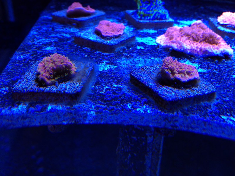 9141323348_d149acf095_c.jpg