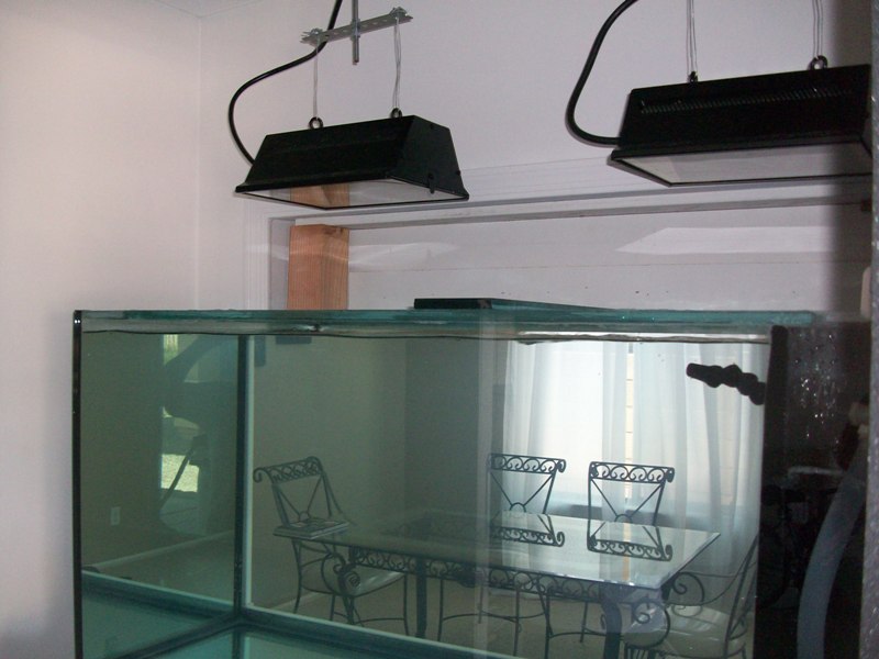 100_6462.jpg