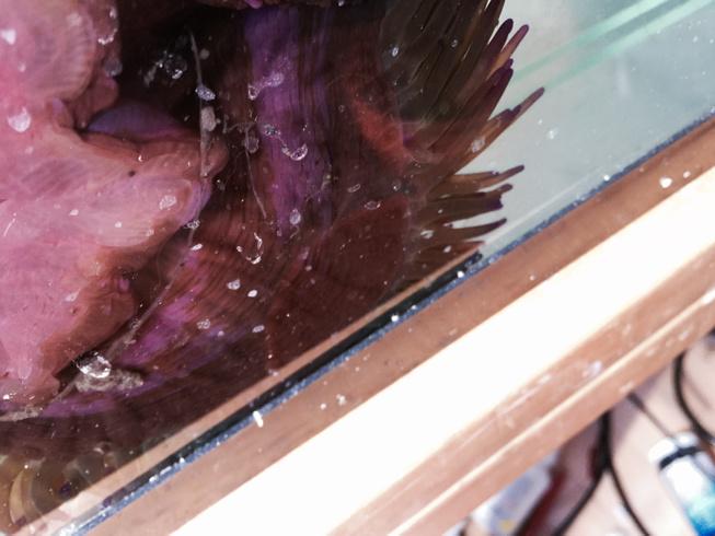 B5BNrQWIYAA7MnZ.jpg:large