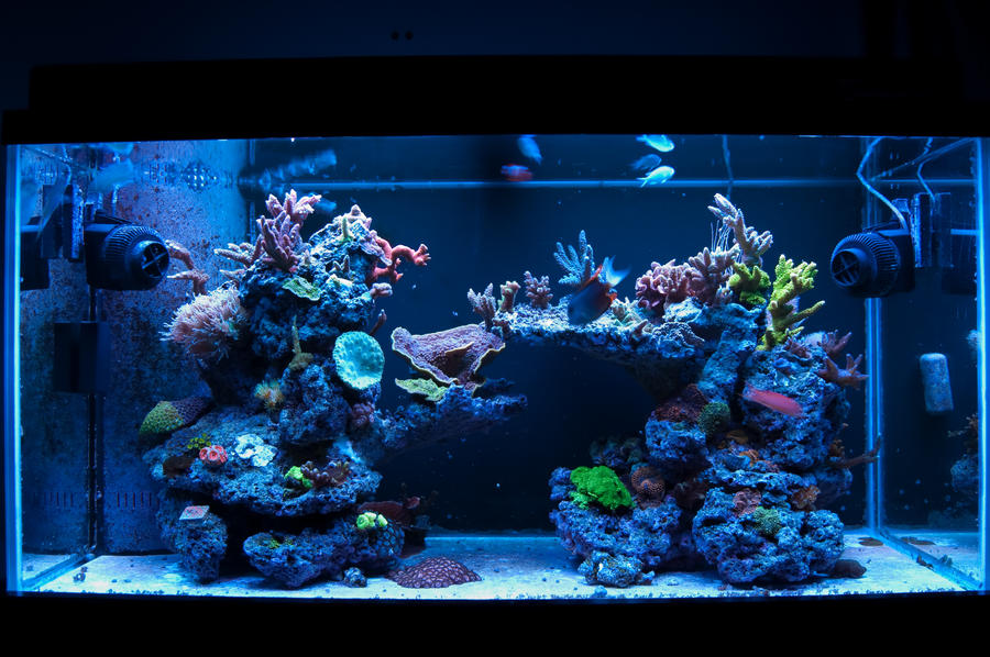 FTS_May_2009_by_Logzor.jpg