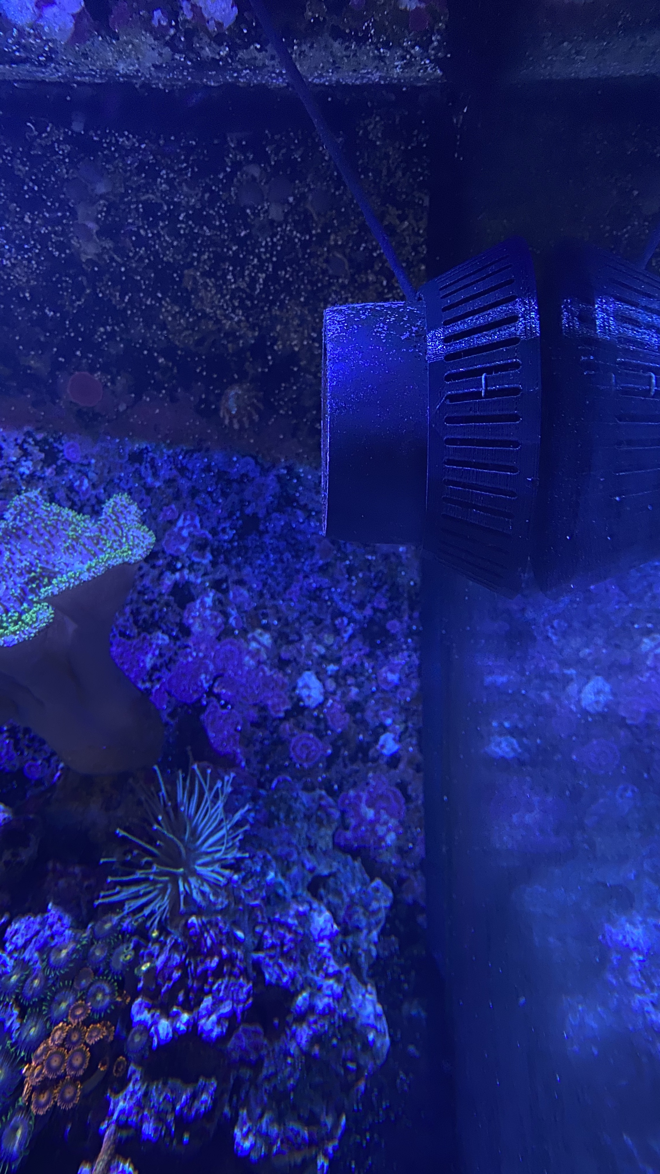 5befcfaf4193dd0ae44ad6ac70dd96d3.plist