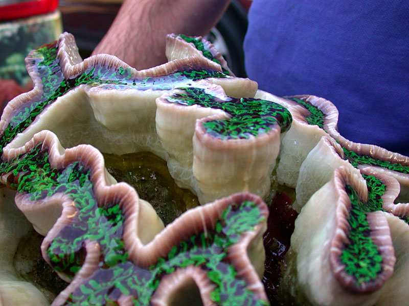 DSCN1658.jpg