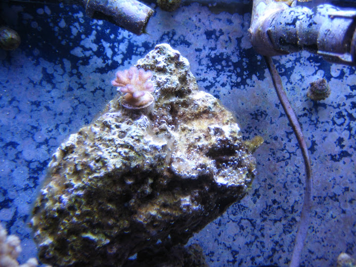 IMG_0660.JPG