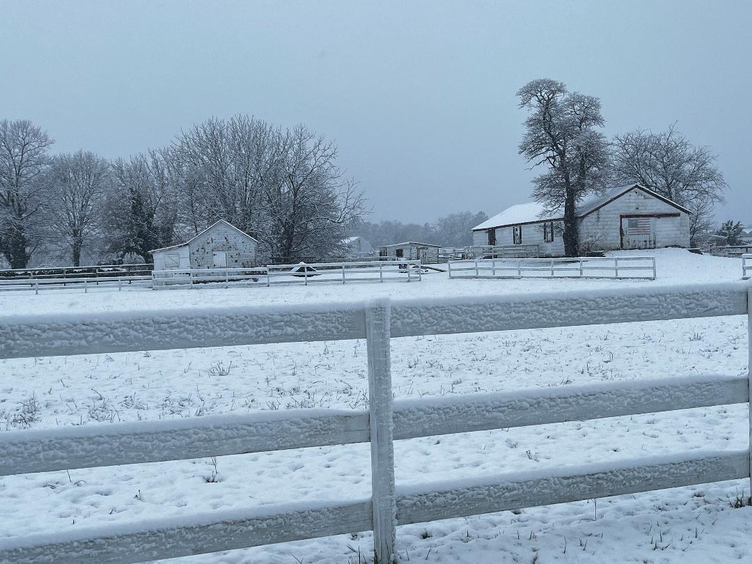Snowy horse rescue.jpg