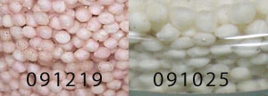 Biopellets.jpg