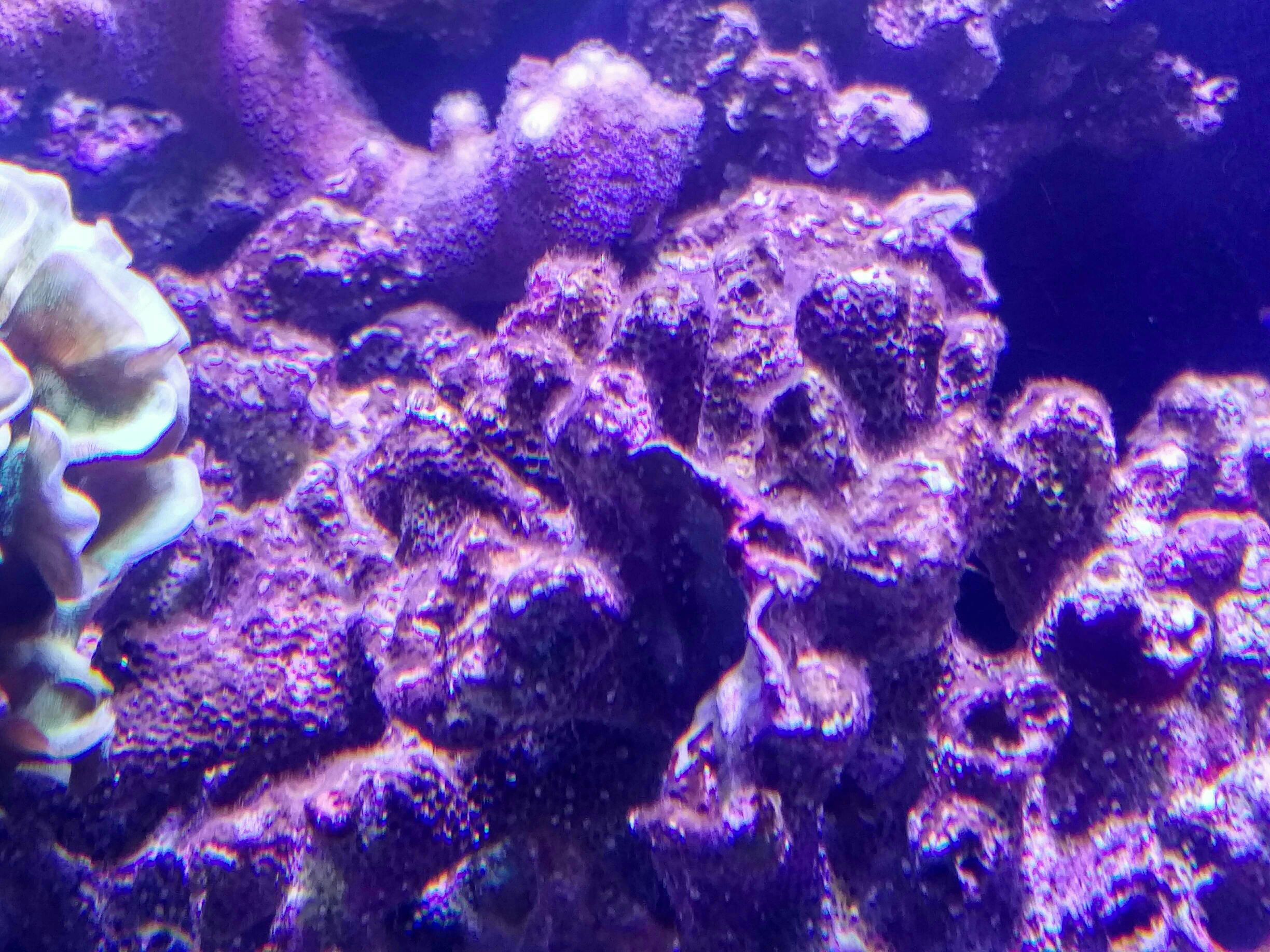 7300fda097639e85df9ef0cab6859872.jpg