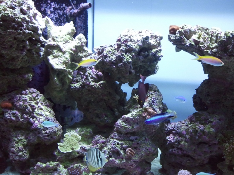 2011-02-20%2021.00.09.jpg