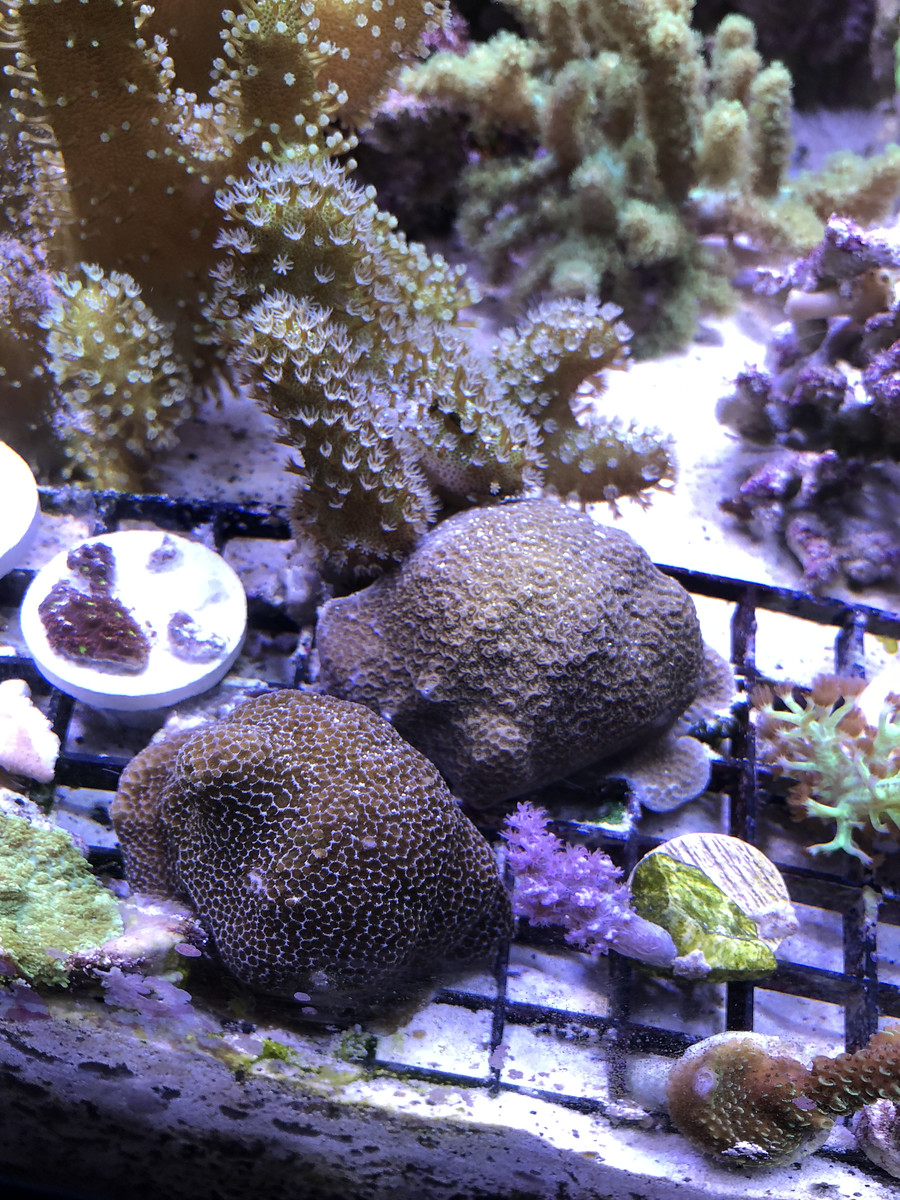 IMG_2500_heic-X3.jpg
