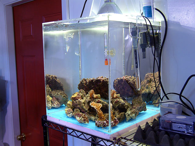 qtank_clean.jpg
