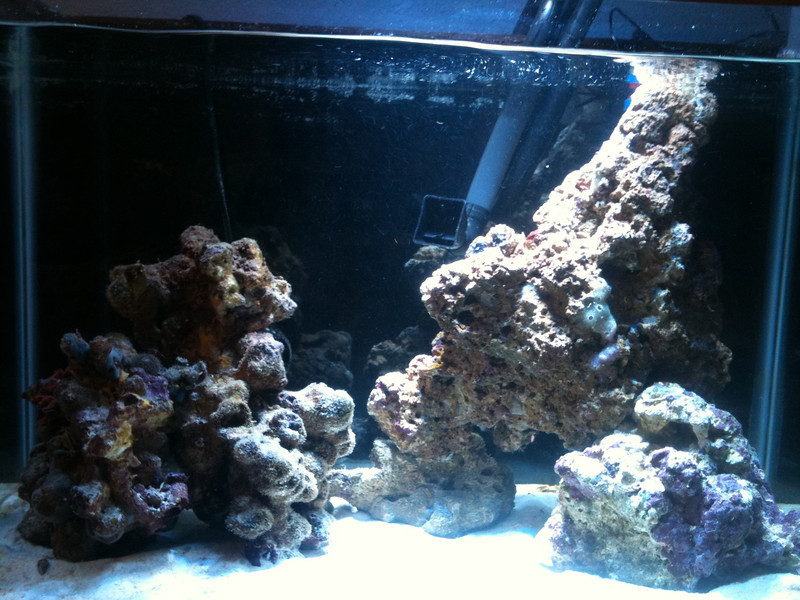 smugshot6304144-L.jpg