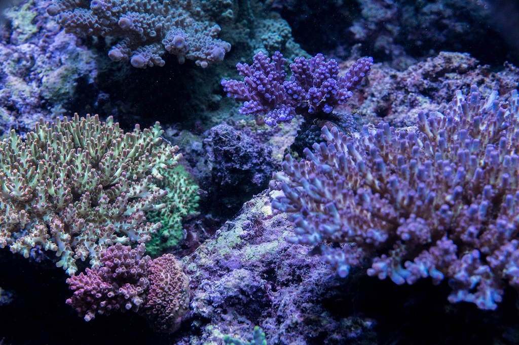 _D712144.jpg