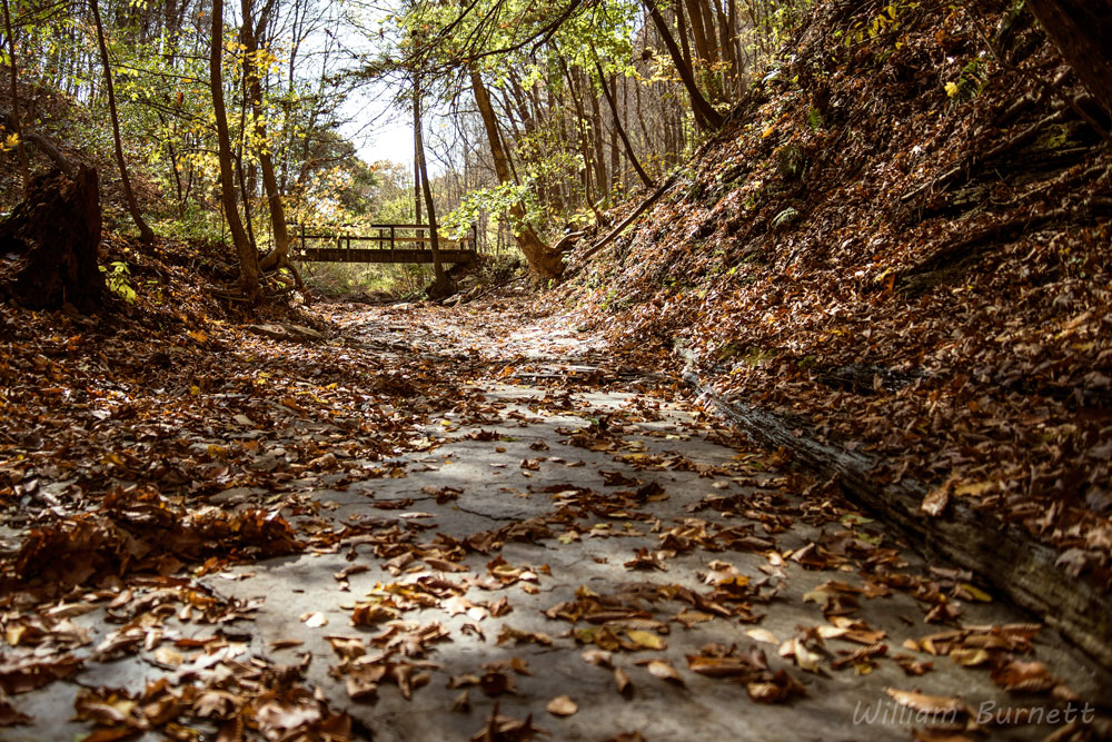 fall-run-park-dry-creekbed-2.jpg