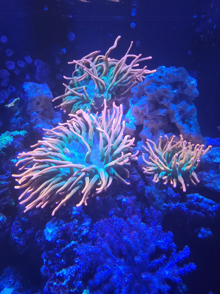 a73cf40c09961d0e0c342e3dc8968360.jpg