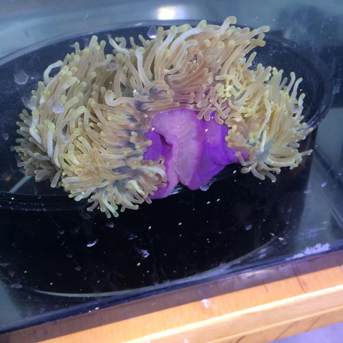 B0baM0cIEAATzm9.jpg:large