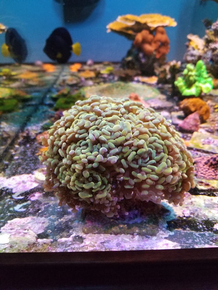 f0767312b854e000cdfbb2bc8bc20715.jpg