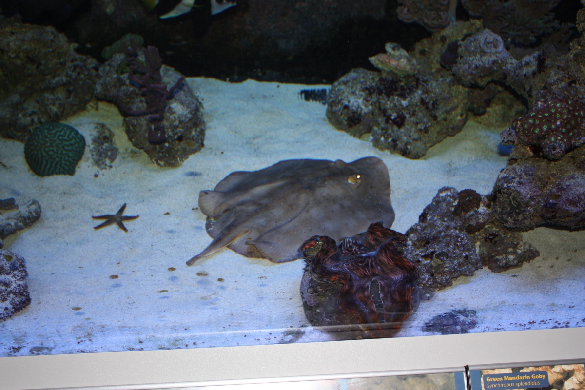 ray003.jpg