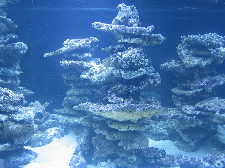 9-old-2005-2.jpg