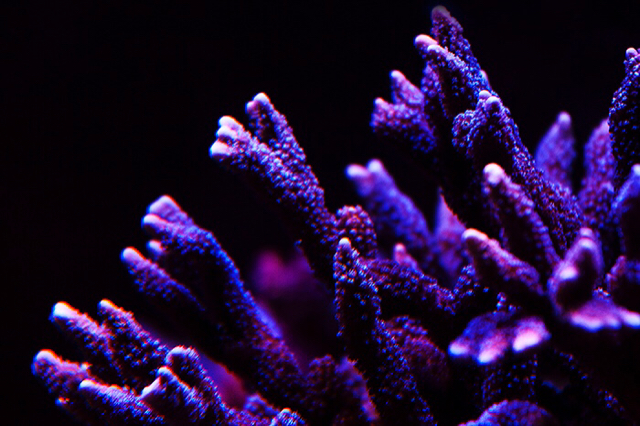 f42795f9f23cfc3aefda660d36906f94.jpg