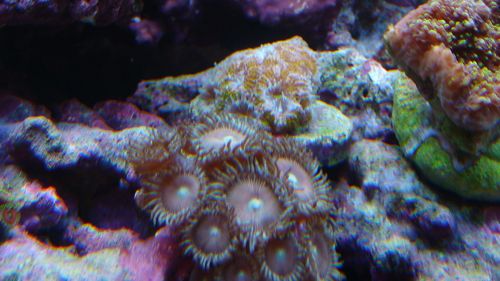 3751039360_3e6e94c59c_b.jpg