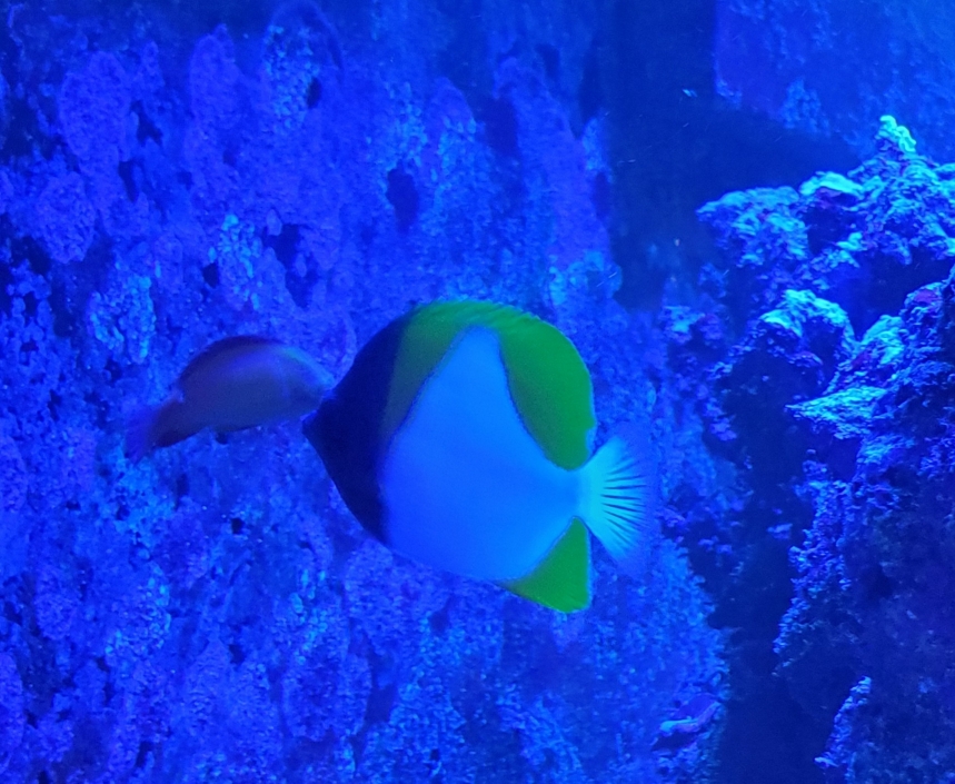 63f75da744c736883959e3798d5db30a.jpg