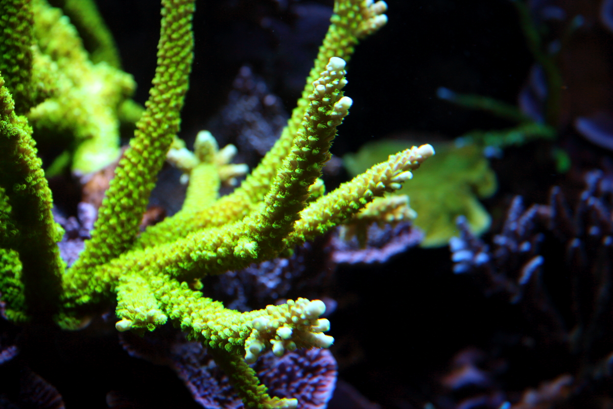 Sept20130012.JPG