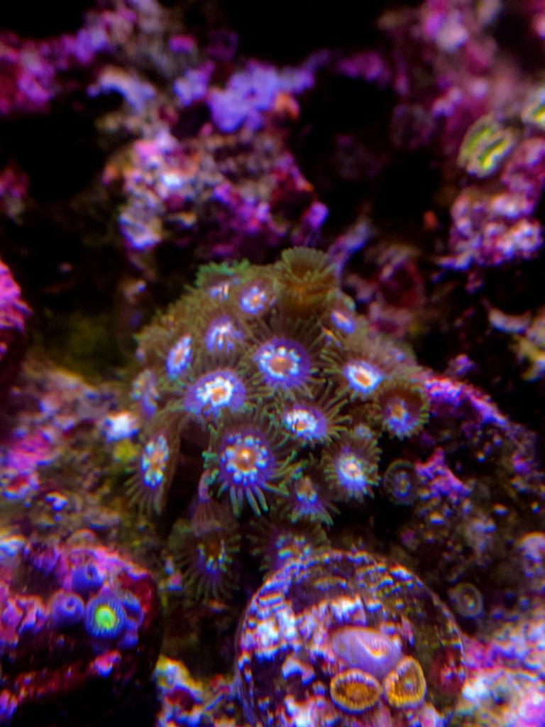 796578ddb6b5583c7a52ea2b27710b0a.jpg