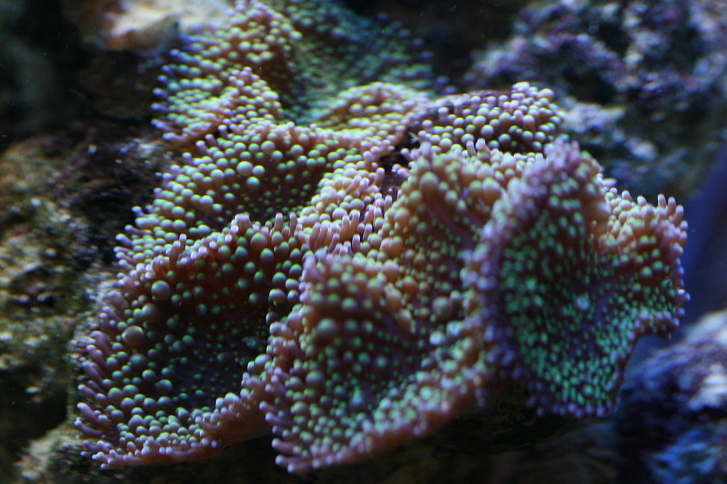 3494908260_612bb4c83e_b.jpg