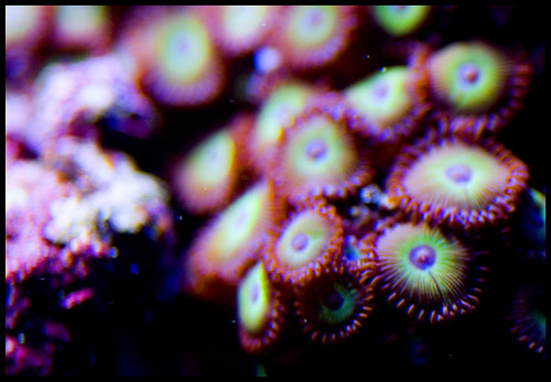 268355457_2047ae4ea0.jpg