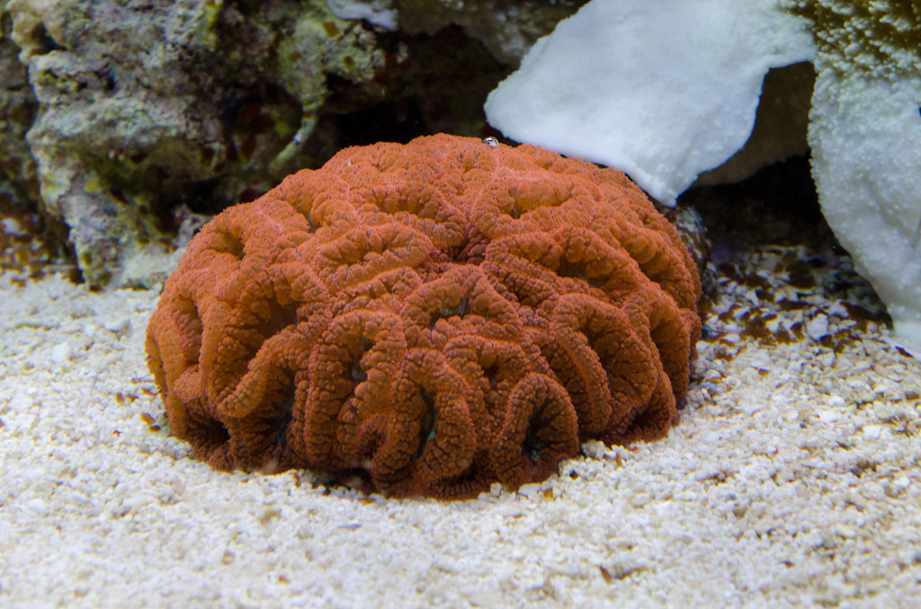 DSC_3740.jpg