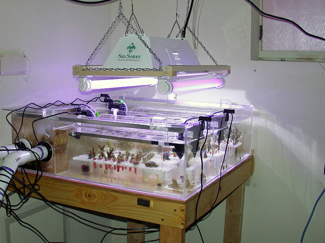 DSCN4187.jpg