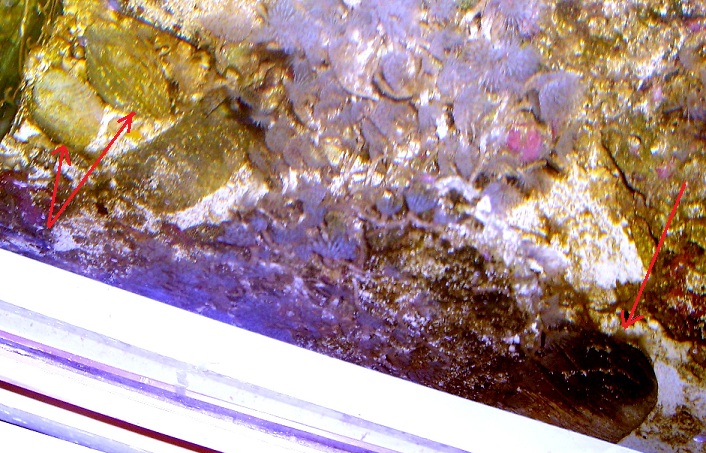 000_1656.JPG