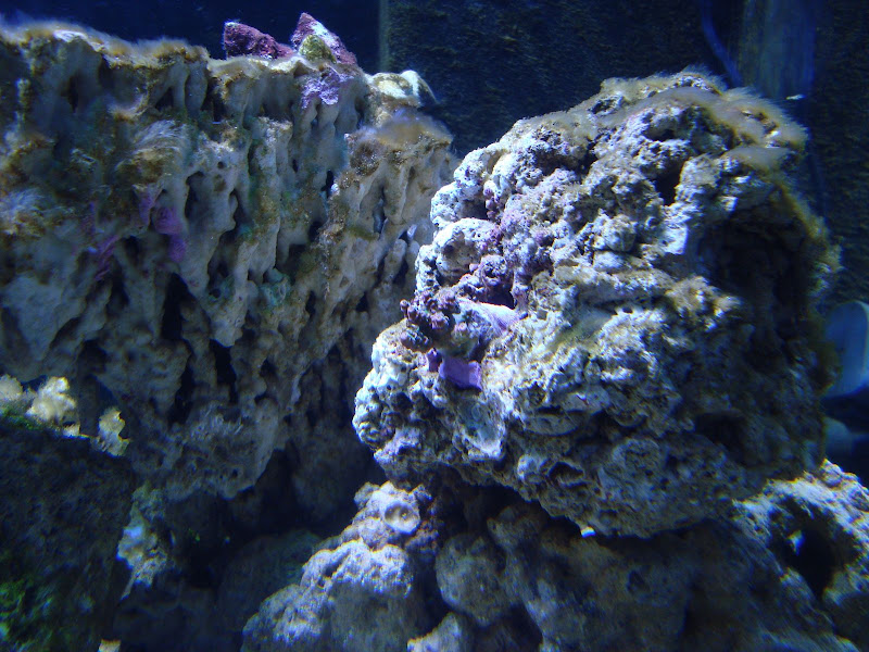 102810%20pics%20063.JPG