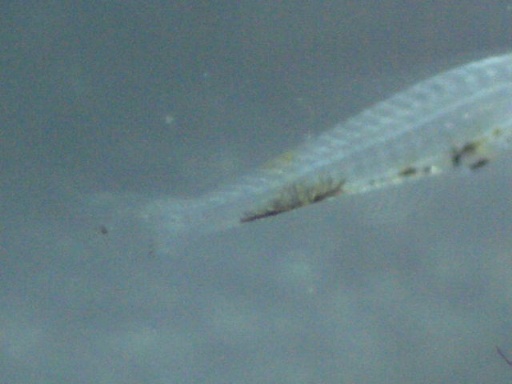 GBG_324_8.jpg