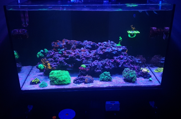 cc7c5030cc8a97bbaade0fddf7bb4198.jpg