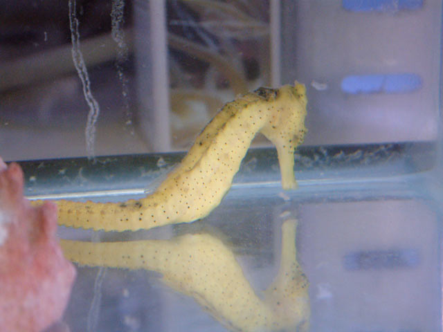 casper_feb19a.jpg