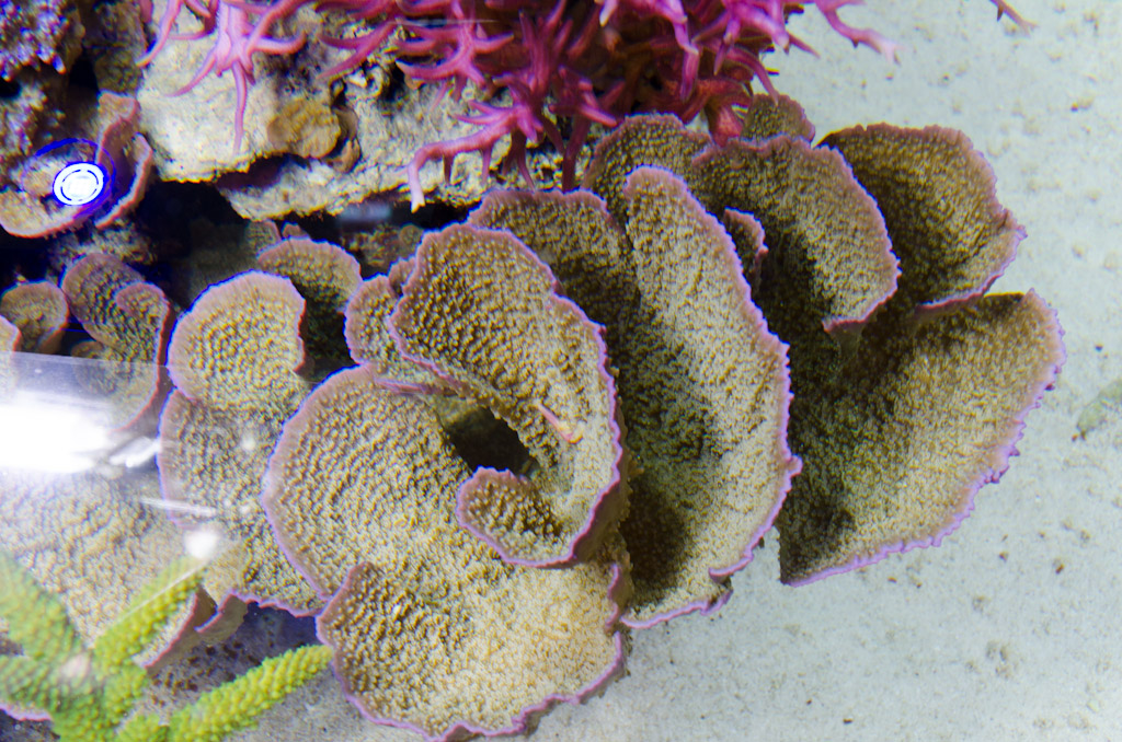 DSC_3721.jpg