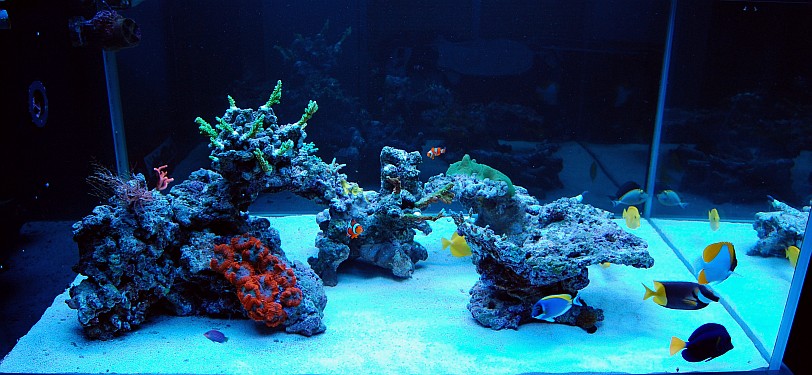 gallery_7670_3213_73966.jpg