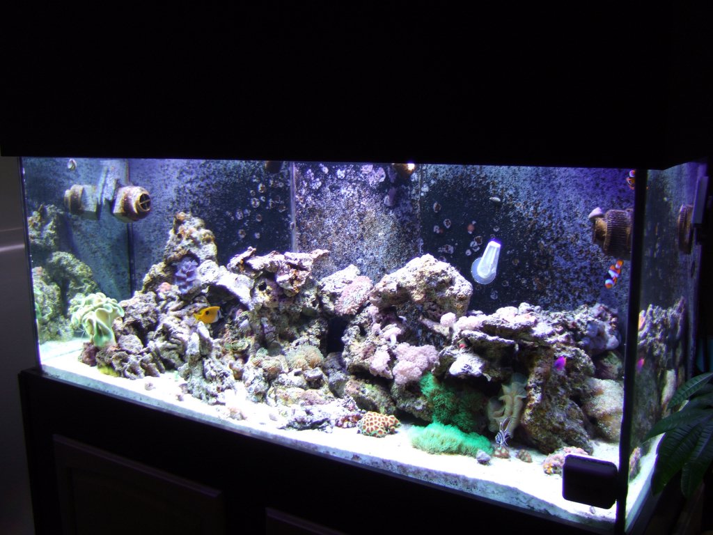 DSCF0528.jpg