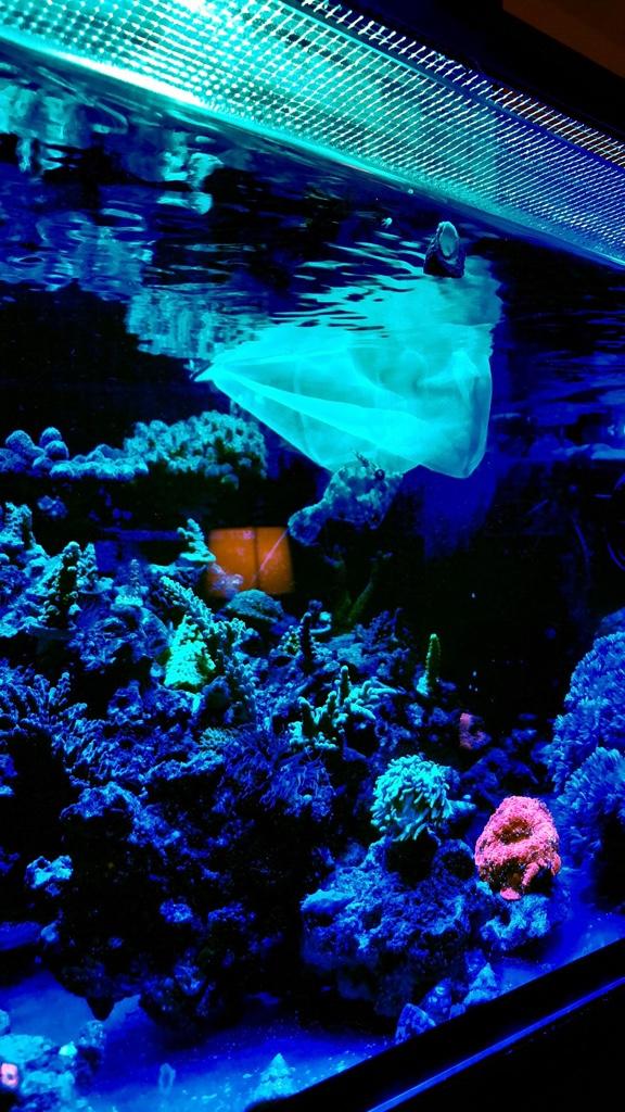 d02085df29516e3821a98a053b95586e.jpg