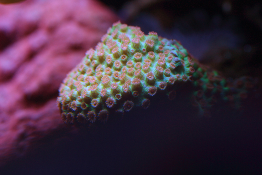 Nov2013M0056.JPG