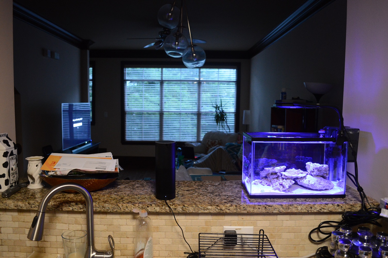 Fish5.JPG