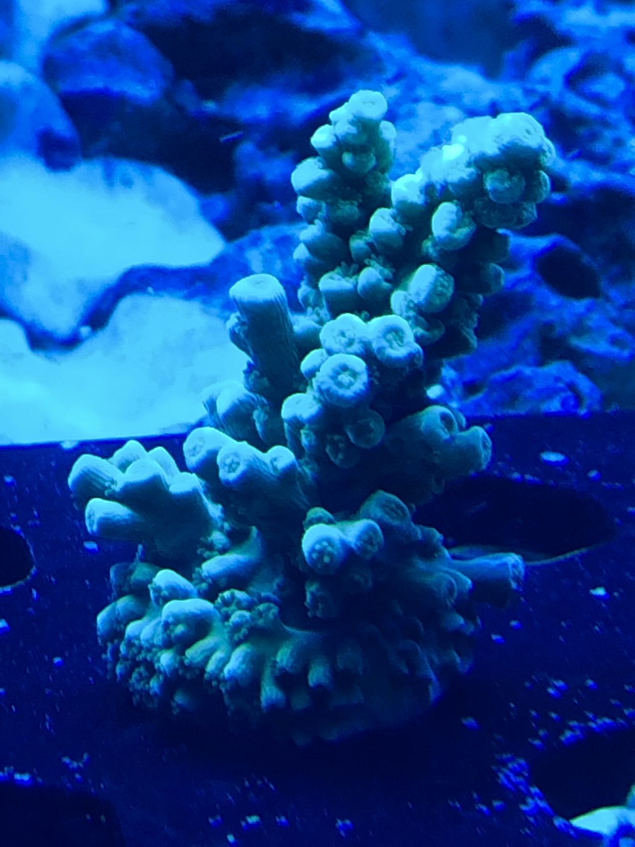 5b15aa7c66835e99746ee810f89d4f0b.jpg