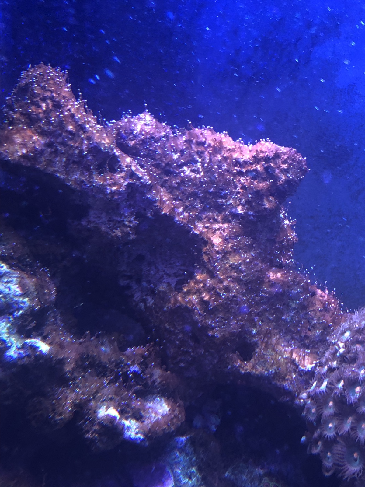 19f2976fad9a3fa0b79b12e473e264d8.jpg