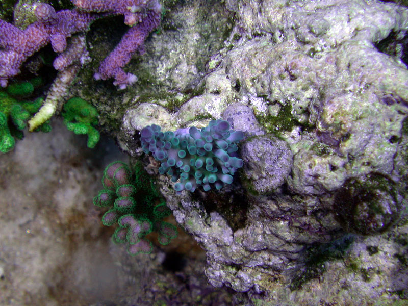 DSCN3524.jpg